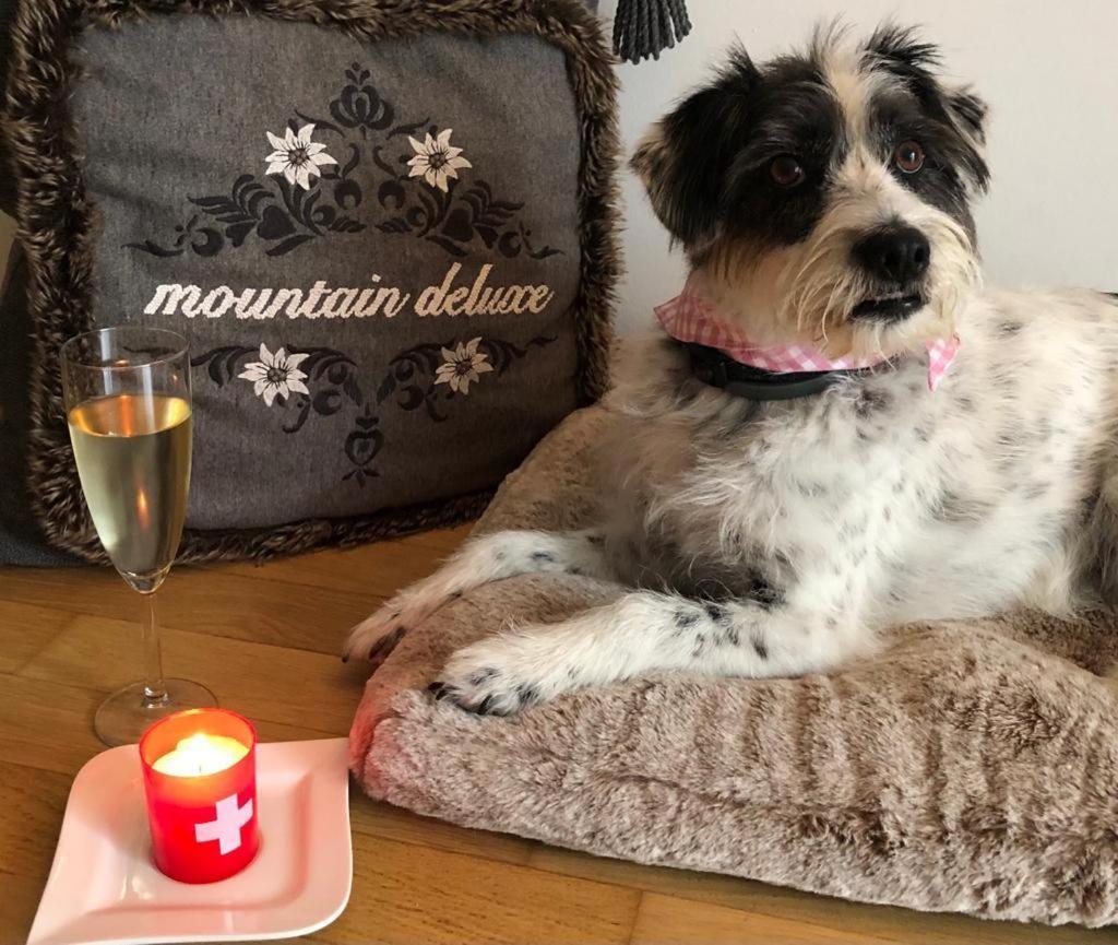Mountain Deluxe Lejlighed Bartholomäberg Eksteriør billede